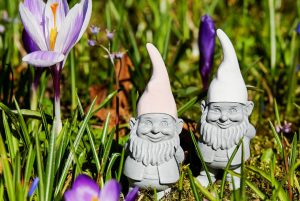 Cuidados regulares de un jardín - EsLife