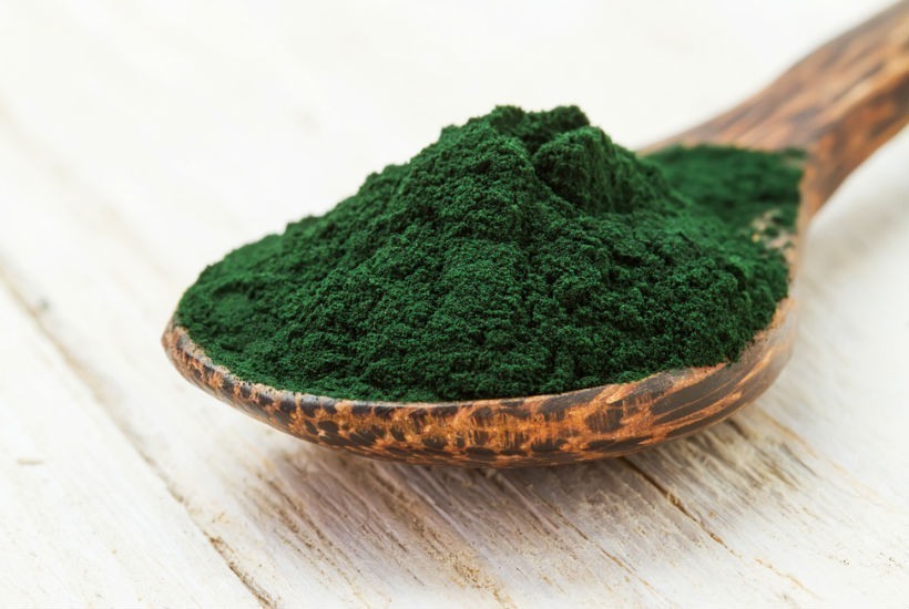 Alga espirulina