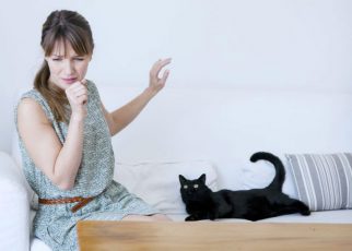 Consejos para personas alergicas a los gatos