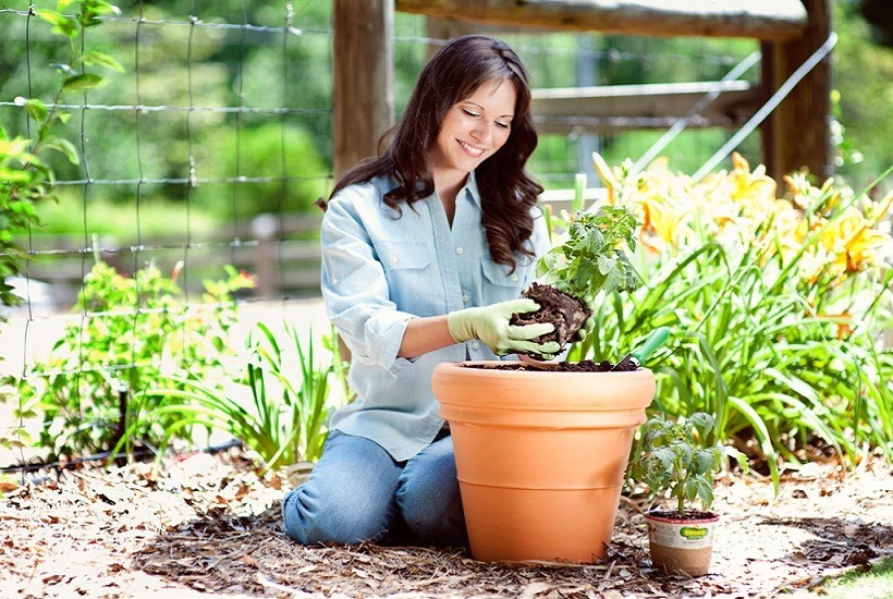 Jardineria para Principiantes