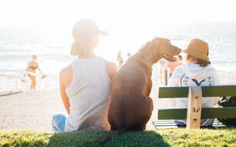 Grandes ideas para tus amigos peludos