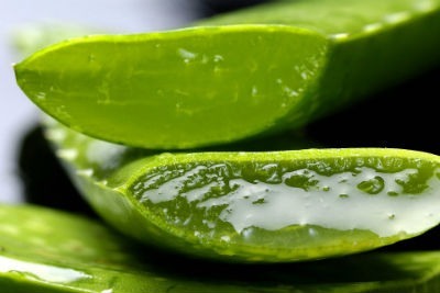 Beneficios del aloe vera