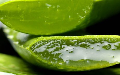 Aloe vera y salud