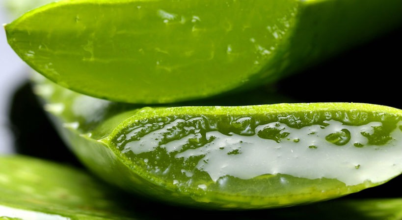 Aloe vera y salud