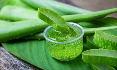 Beneficios del aloe vera en la salud