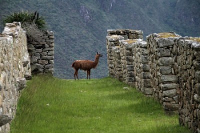 Descubre la ciudad de Cusco