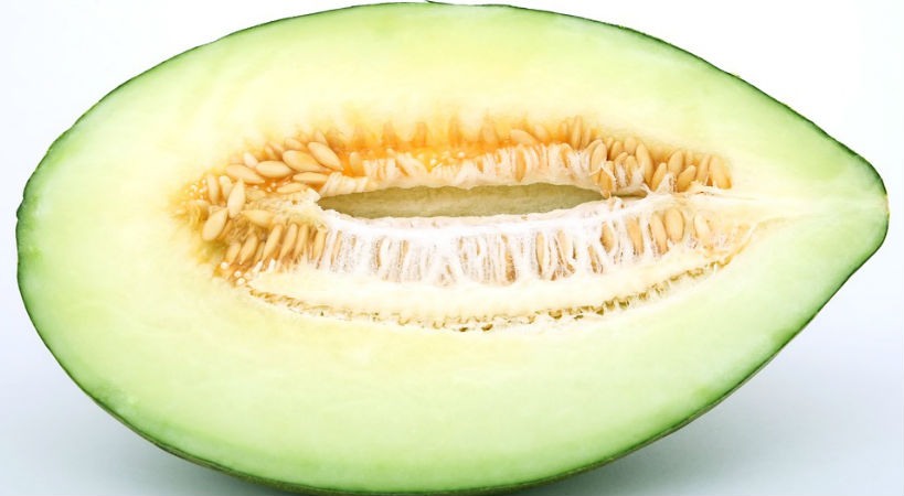 Melon fruta de verano