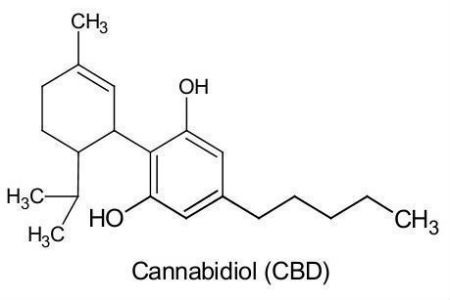 Productos con cannabidiol