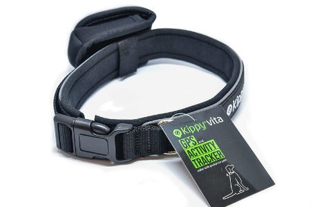 collares gps para perros