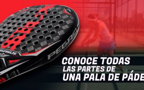 Conoce todas las partes de una pala de pádel