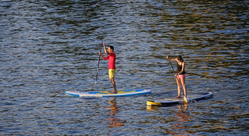 Paddle Surf