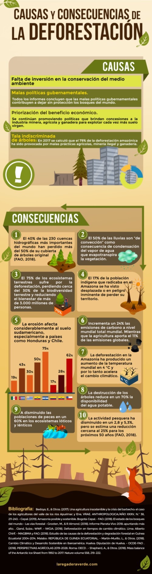 Infografia consecuencias deforestación