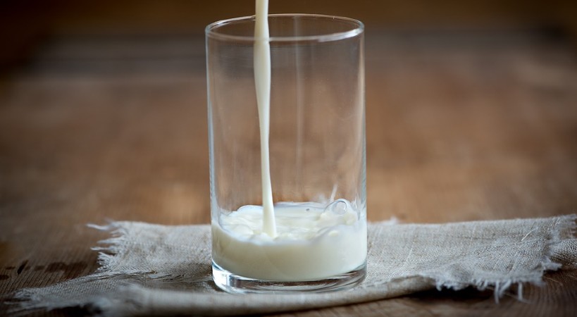 Leche de yegua