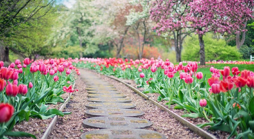 Paisajismo de jardines